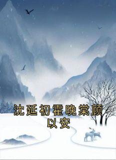 沈延初霍晚棠顾以安