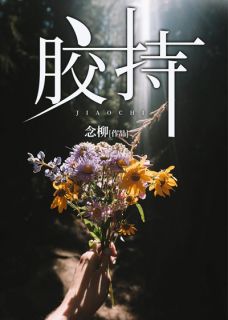 胶持小说全文精彩章节在线阅读（丁茗厉衍琛）