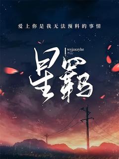 星羁晓星辰苏羁小说阅读_星羁文本在线阅读