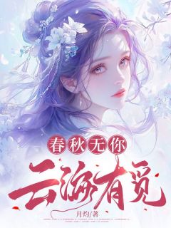 春秋无你，云海有觅完整版 银翼玉灵梵虚全章节阅读