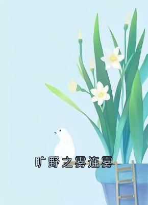 《旷野之雾连雾》连雾陆西野小说全本在线阅读