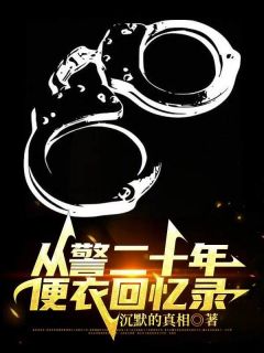 高峰林宇小说大结局在线阅读 《从警二十年，便衣回忆录》小说免费试读